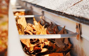Cold Harbour gutter cleaning companies
