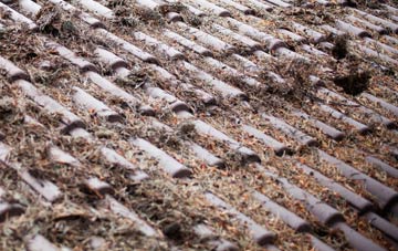 Cold Harbour roof cleaning companies